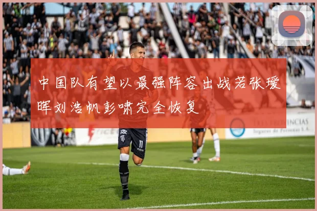 中国队有望以最强阵容出战若张瑷晖刘浩帆彭啸完全恢复